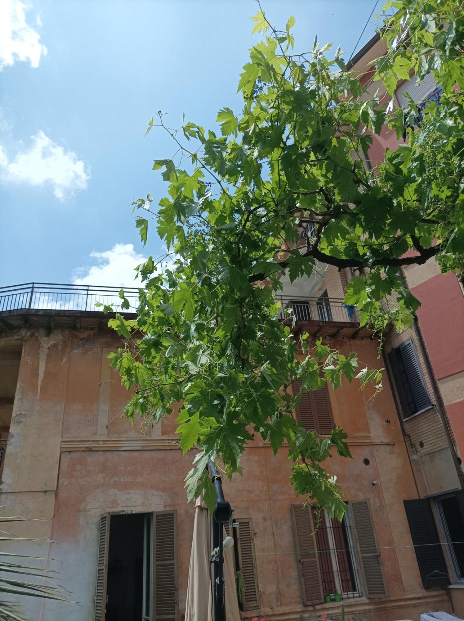Boh & Boh A Casa Di Luca And His Cats Apartment Perugia Exterior foto